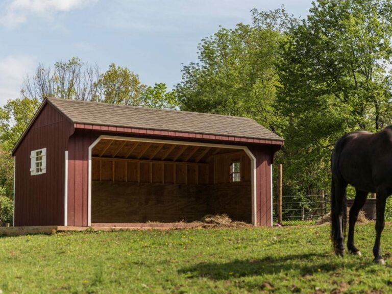 equine run in shelter 1 