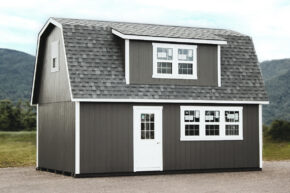 LSMB Thumbnail 290x193 f50 50