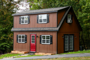 lsws thumbnail 290x193 f50 50