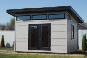 MSU3 Thumbnail 1 290x193 f50 50