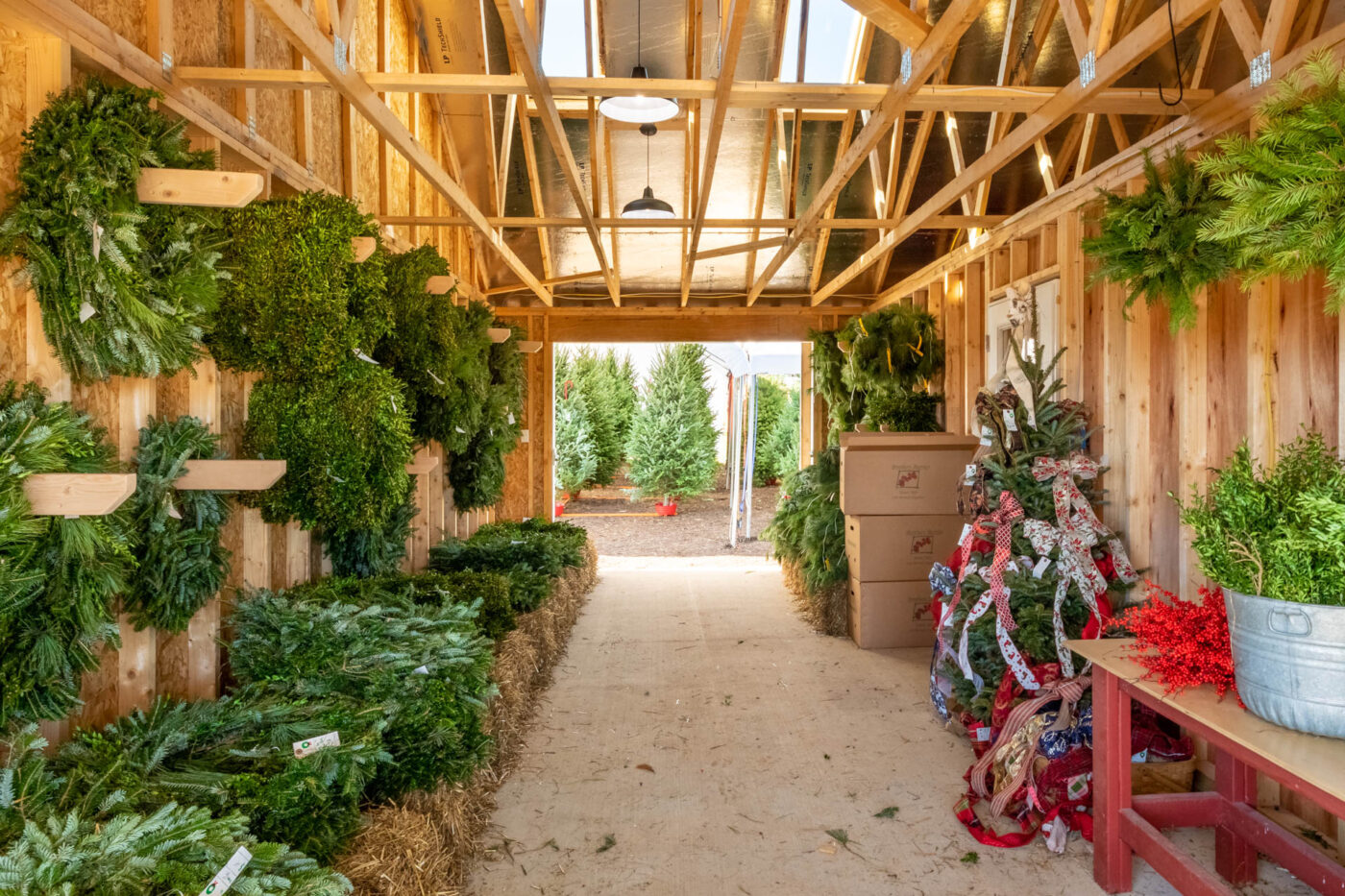 Wreaths hanging in a shed in Jarrettsville, MD.