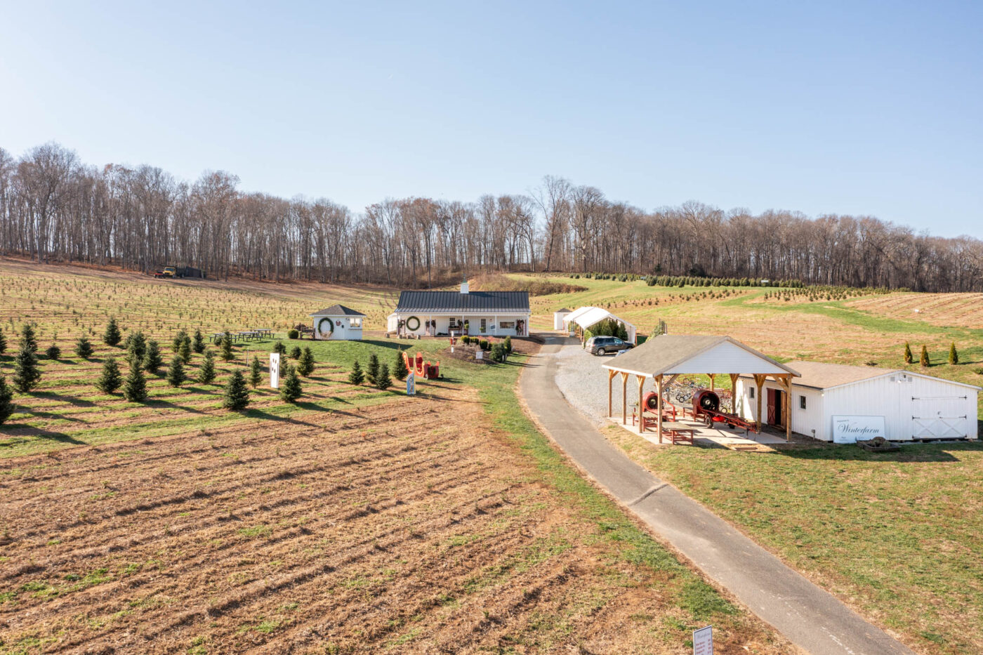 A Christmas tree farm shed in Jarrettsville, MD.